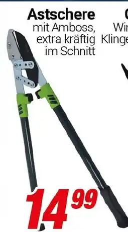 CENTERSHOP Astschere Angebot