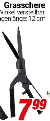 CENTERSHOP Grasschere Angebot
