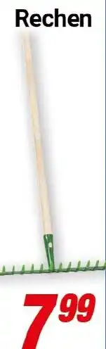 CENTERSHOP Grasschere Rechen Angebot