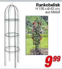 CENTERSHOP Rankobelisk Angebot