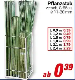 CENTERSHOP Pflanzstab Angebot