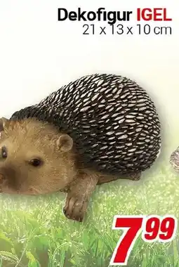 CENTERSHOP Dekofigur IGEL Angebot