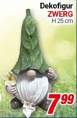 CENTERSHOP Dekofigur ZWERG Angebot