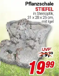 CENTERSHOP Pflanzschale STIEFEL Angebot