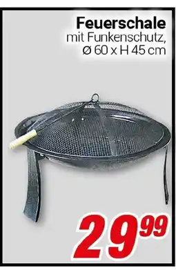 CENTERSHOP Feuerschale Angebot