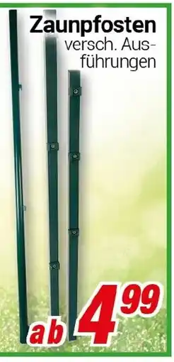 CENTERSHOP Zaunpfosten Angebot