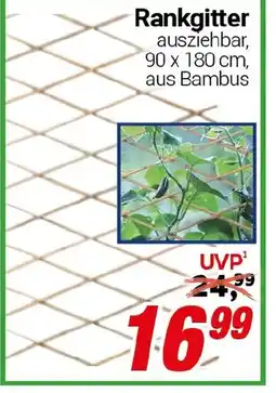 CENTERSHOP Rankgitter Angebot