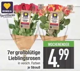 Edeka 7er großblütige Lieblingsrosen Angebot