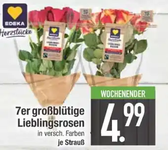 Edeka 7er großblütige Lieblingsrosen Angebot