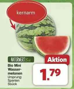 Famila Nord Ost Bio Mini Wassermelonen Angebot