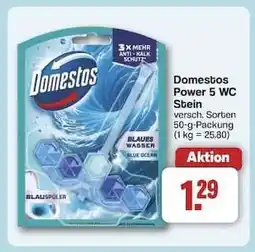 Famila Nord Ost Domestos Power 5 WC Stein Angebot