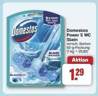 Famila Nord Ost Domestos Power 5 WC Stein Angebot
