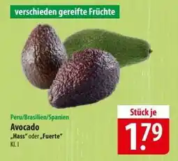 Famila Nord Ost Avocado Angebot