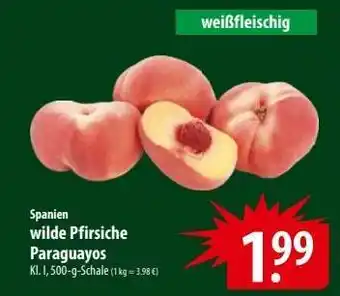Famila Nord Ost Wilde Pfirsiche 'Paraguayos' Angebot
