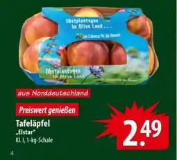 Famila Nord Ost Tafeläpfel 'Elstar' Angebot