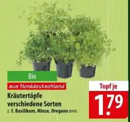 Famila Nord Ost Kräutertöpfe Angebot