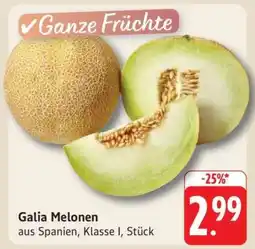 Edeka Galia Melonen Angebot