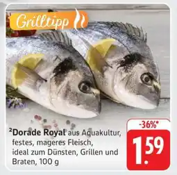 Edeka Dorade Royal Angebot