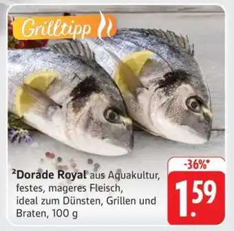 Edeka Dorade Royal Angebot