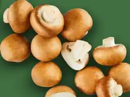 Aldi Nord Kulturchampignons Angebot