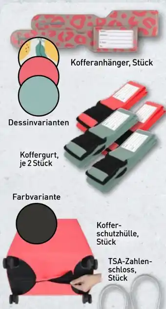 Aldi Nord Live in Style Koffer Accessoires Angebot