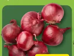 Aldi Nord Speisezwiebeln Angebot