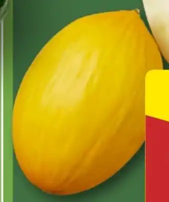 Aldi Nord Honigmelone Angebot