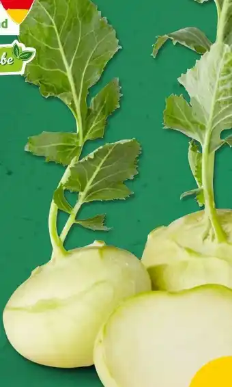 PENNY Marktliebe Kohlrabi Angebot