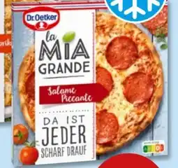 PENNY Dr. Oetker La Mia Grande Salame Piccante Angebot
