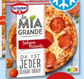 PENNY Dr. Oetker La Mia Grande Salame Piccante Angebot