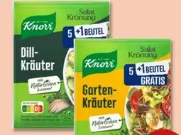 PENNY Knorr Dill-Kräuter Angebot