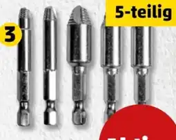 PENNY Brüder Mannesmann Werkzeuge Schraubenentferner-Set Angebot