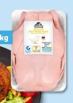 PENNY Mühlenhof Junge Ente Angebot