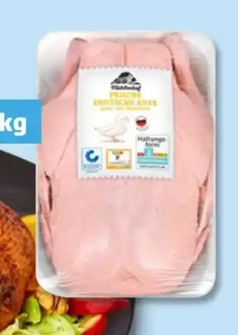 PENNY Mühlenhof Junge Ente Angebot