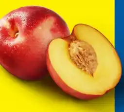 Lidl Nektarinen Angebot
