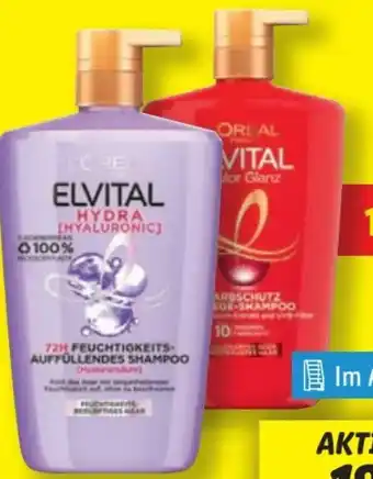 Lidl L'Oréal Paris Elvital Hyaluron Shampoo Angebot