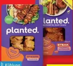 Lidl Planted BBQ Mixbox Angebot