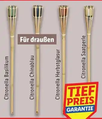 Lidl Livarno Home Citronella Gartenfackel Angebot