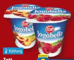 Lidl Zott Jogobella Fruchtjoghurt Angebot