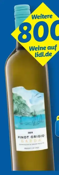 Lidl Pinot Grigio Garda Angebot