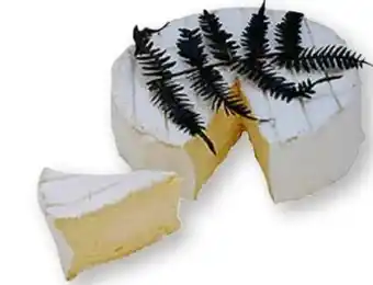 Scheck-in-Center Fougerus Weichkäse Angebot