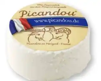 Scheck-in-Center Picandou Frischkäse Angebot