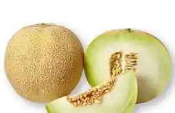 Scheck-in-Center Galia Melone Angebot