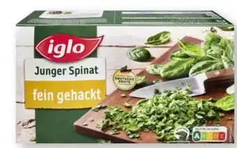 Scheck-in-Center Iglo Junger Spinat Angebot