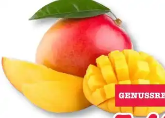 Scheck-in-Center Mango Angebot