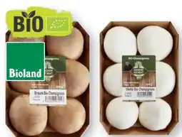 Scheck-in-Center Unsere Heimat Bio Champignons Angebot