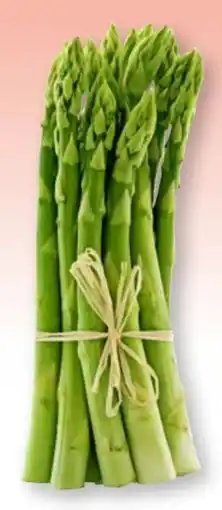Scheck-in-Center Spargel Grün Angebot