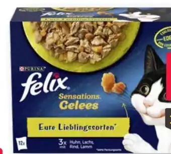 Scheck-in-Center Purina Felix Katzennahrung Angebot