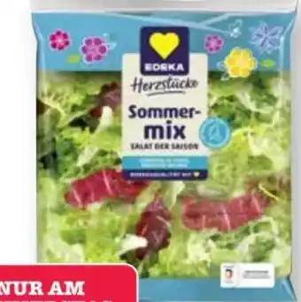 Scheck-in-Center Edeka Herzstücke Sommermix Angebot