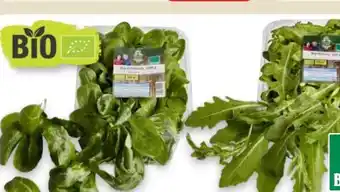 Edeka Unsere Heimat Echt & Gut Bio-Feldsalat Angebot